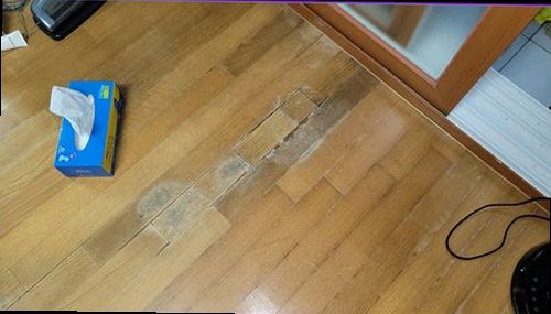 종로구 누수탐지 주방 싱크대 하부장과 젖은 벽면을 살펴보는 현장 모습