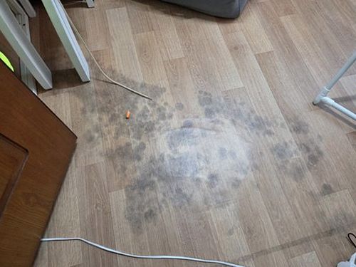 누수탐지 배관 누수 신호를 점검하는 탐지 장비 사용 장면