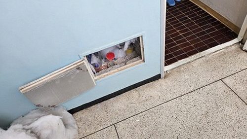 누수탐지 벽면 얼룩을 사진으로 기록하는 현장 점검 장면