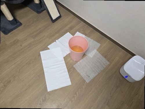 김포 누수탐지 운양동 아파트 11층 거실 바닥 시공 후기 사진