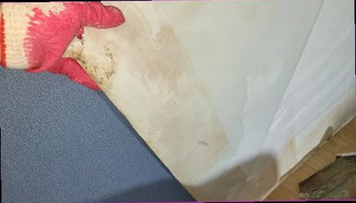 남양주 누수탐지 배관 압력과 벽체 습도를 측정하며 누수 원인을 좁히는 과정