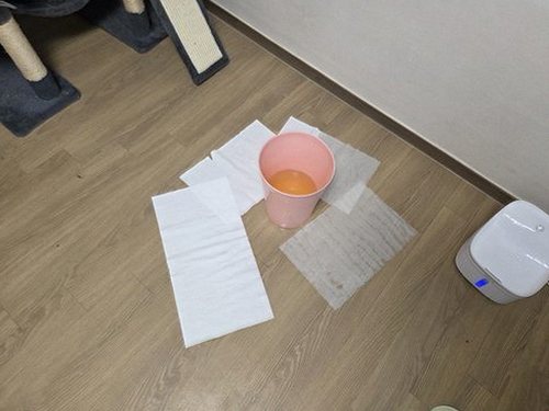 누수탐지 누수 흔적의 위치와 범위를 기록하는 점검 과정