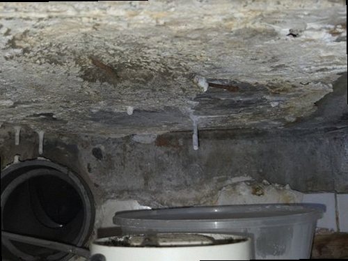 누수탐지 천장 얼룩과 주변 벽면의 누수 흔적을 확인하는 모습