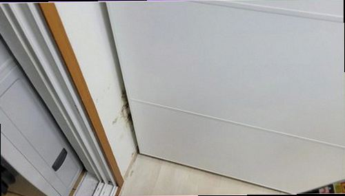 처인구 누수탐지 배관 주변 습도와 누수 가능 지점을 확인하는 점검 장면