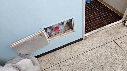 누수탐지 벽지 얼룩의 위치와 주변 마감 상태를 확인하는 모습