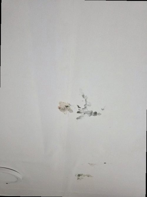 병점구 누수탐지 진안동 빌라 3층 안방 벽 시공 후기 사진