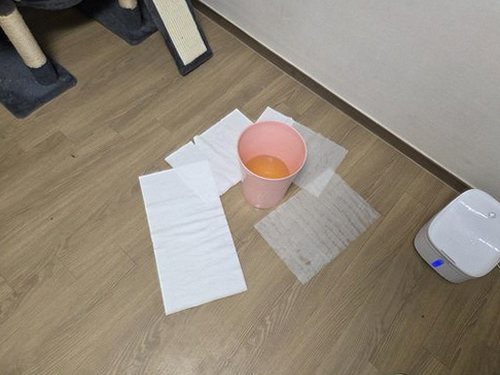옹진군 누수탐지 북도면 빌라 2층 거실 창가 시공 후기 사진
