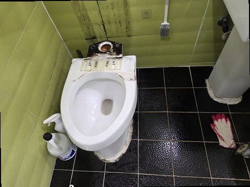 관악구 함께 확인 관악구 함께 확인