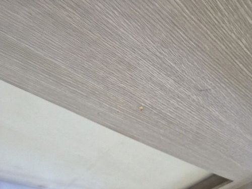 누수탐지 온수동 누수탐지 아파트 안방 천장 얼룩 확인법 3단계
