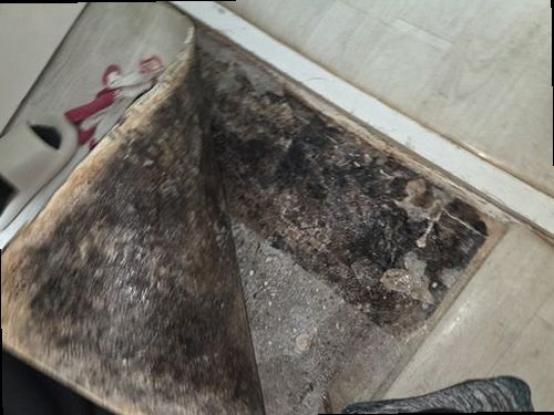 누수탐지 보광동 누수탐지 아파트 거실 천장 얼룩 원인 찾는 순서