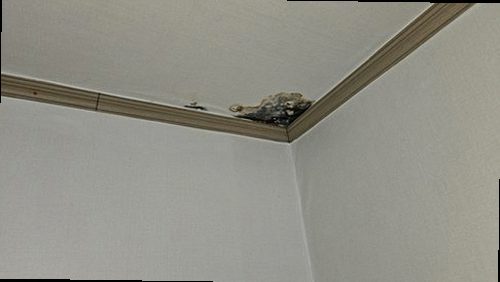 서대문구 누수탐지 봉원동 다가구주택 4층 현관 천장 시공 후기 사진
