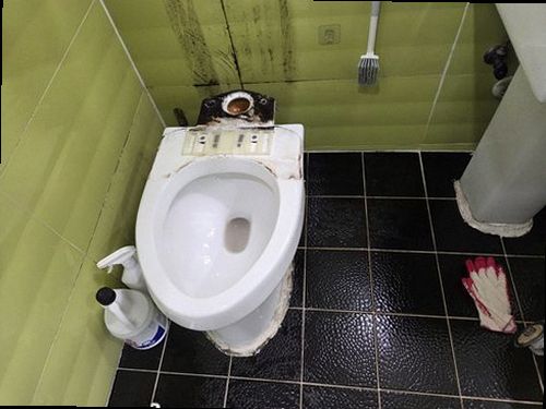 파주 누수탐지 문산읍 상가 1층 화장실 옆 벽 시공 후기 사진