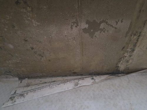 누수탐지 작동 누수탐지 누수피해복구 벽 뒤 숨은 물길 찾는 법