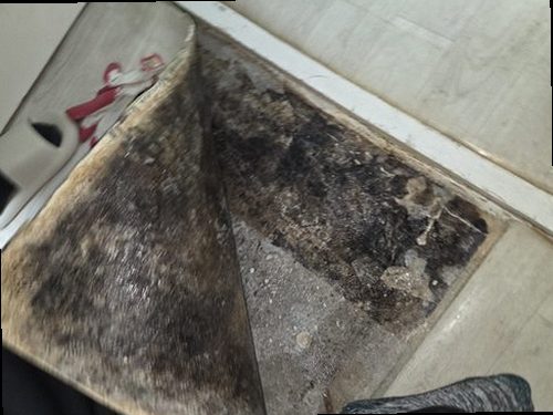 동탄구 누수탐지 거실 바닥 얼룩과 벽면 마감 상태를 살피는 점검 장면
