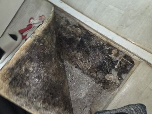 누수탐지 새솔동 누수탐지 거실물샘해결 방치하면 바닥 손상 커집니다