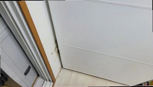 누수탐지 안방 천장 모서리에 번진 누수 흔적을 확인하는 모습