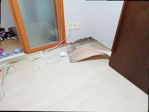 도봉구 누수탐지 배관 연결부와 주변 수분 상태를 점검하는 장비