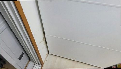 은평구 누수탐지 천장 얼룩과 주변 습기 상태를 확인하는 현장 점검 모습