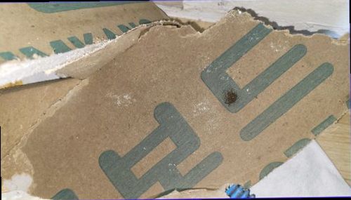 종로구 누수탐지 천장 변색과 벽지 들뜸이 나타난 실내 현장