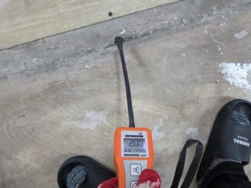 누수탐지 양서면 누수탐지 벽지물샘흔적 확인부터 빠른 처리까지