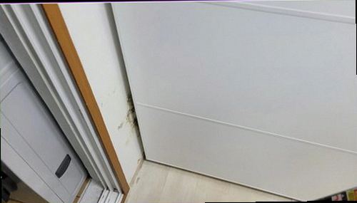 수지구 누수탐지 벽면 습기와 배관 주변을 확인하는 현장 점검 모습