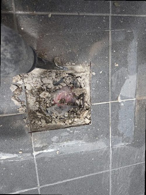 보일러 배관 이천 누수탐지 보일러 배관