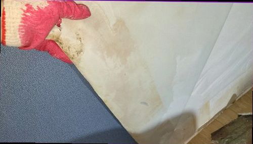 아산시 누수탐지 창호 하단과 외벽 접합부의 수분 상태를 확인하는 점검 장면