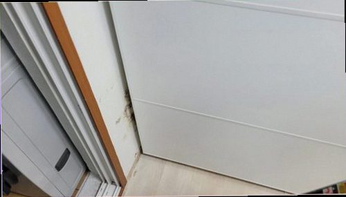 파주 누수탐지 안방 벽면과 바닥의 미세한 누수 흔적을 점검하는 모습