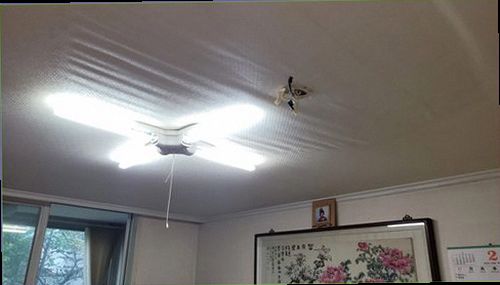 안성 누수탐지 베란다 바닥과 벽면의 물기 흔적을 확인하는 현장
