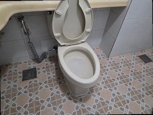 양평 현장 진단 양평 현장 진단