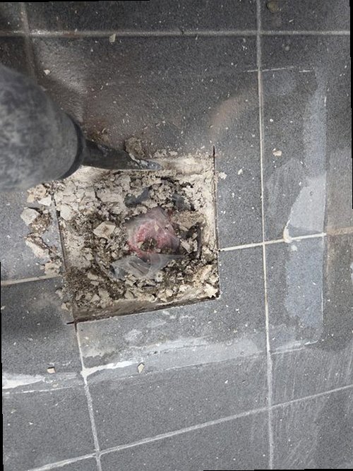덕양구 누수탐지 보일러 배관