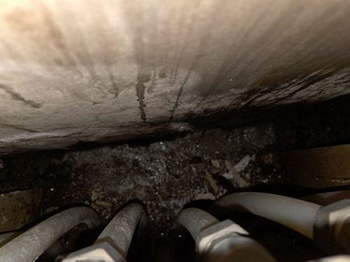 누수탐지 자양동 누수탐지 천장 얼룩 방치하면 놓치는 것들