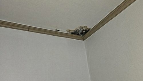 누수탐지 층간 누수 대응의 기본
