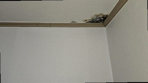 제물포구 누수탐지 학익동 오피스텔 7층 세탁실 시공 후기 사진