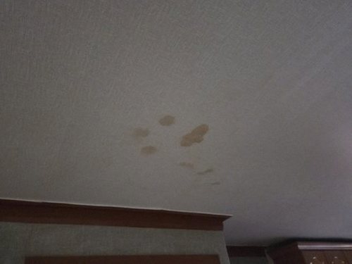 누수탐지 가좌동 누수탐지 누수원인 방치하면 벽지 속 피해가 커집니다