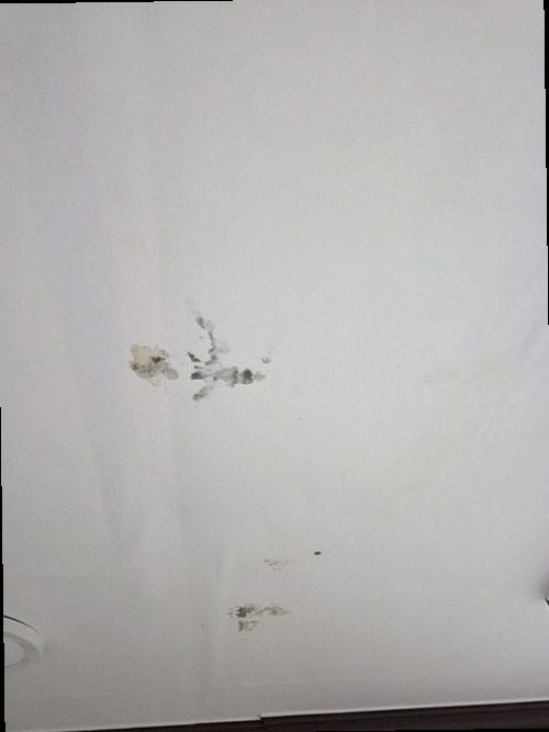 미세누수 정밀탐지 강북구 누수탐지 미세누수 정밀탐지