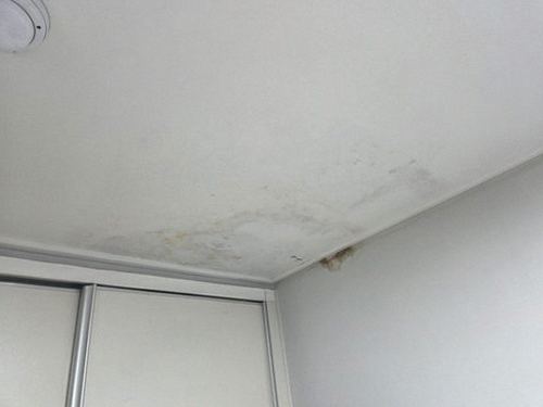 누수탐지 부분 보수와 정밀 점검, 무엇이 다를까