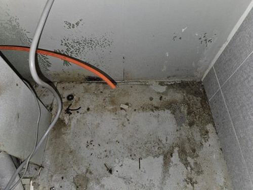누수탐지 반월동 누수탐지 아파트 천장 얼룩이 번질 때 확인할 순서