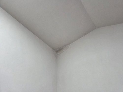 누수탐지 초동 누수탐지 위층누수찾기 천장 얼룩 원인 구분법