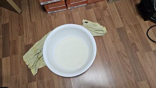 강서구 근거 설명 강서구 근거 설명