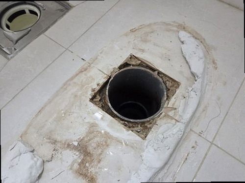 파주 재점검 기록 파주 재점검 기록