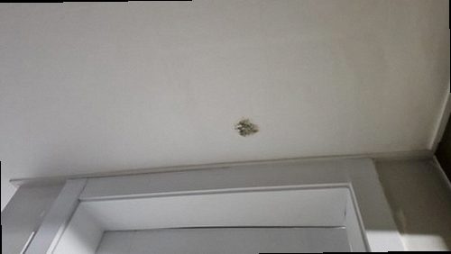 기흥구 누수탐지 아파트 벽면 습기 점검