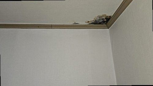 기흥구 누수탐지 농서동 공장 사무동 1층 다용도실 시공 후기 사진