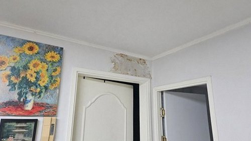 누수탐지 상적동 벽지곰팡이얼룩으로 살펴보는 누수탐지의 기본