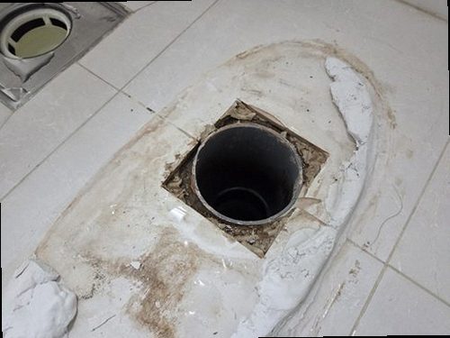 일산서구 재점검 기록