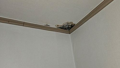 누수탐지 용현동 아파트 누수탐지의 기본 개념과 아랫집 피해 구분