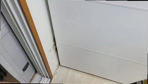 종로구 누수탐지 천장 모서리에 번진 누수 흔적과 주변 마감재 상태