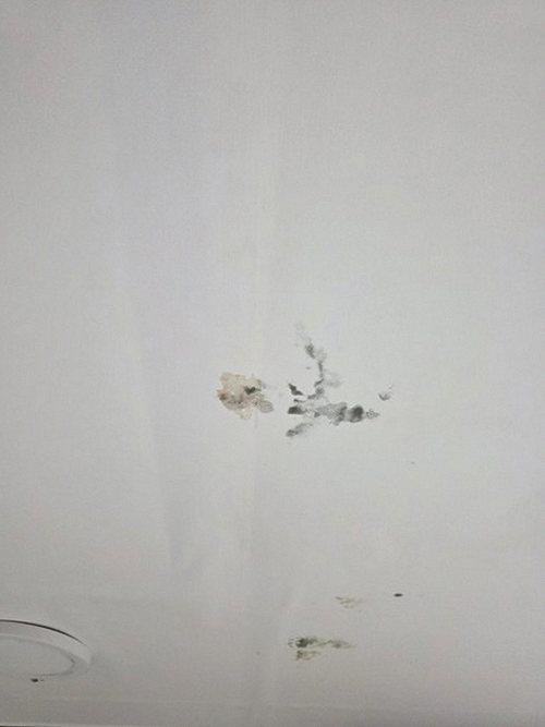 누수탐지 망우동 누수탐지 안방벽지물고임 원인을 단계별로 검증