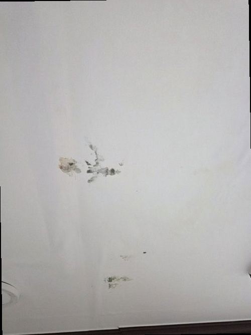동대문구 누수탐지 장안동 다세대주택 3층 안방 벽 시공 후기 사진