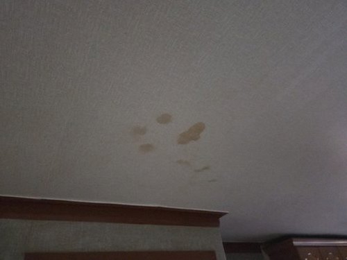 누수탐지 둔대동 누수탐지 아파트 천장 얼룩은 왜 생길까